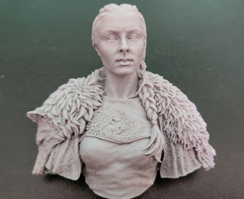 Kit resina di sansa - in,